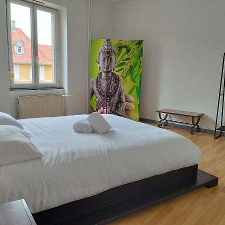 Le Thannois - Appartement 2 Chambres, Salon, Cuisine Equipee, Parking Et Wifi Gratuit ミュルーズ エクステリア 写真