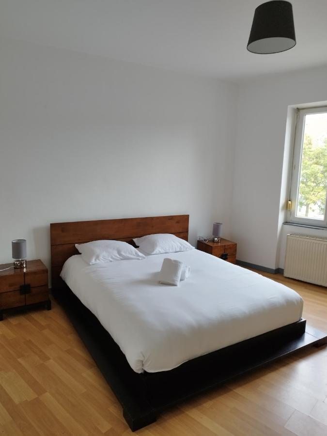 Le Thannois - Appartement 2 Chambres, Salon, Cuisine Equipee, Parking Et Wifi Gratuit ミュルーズ エクステリア 写真